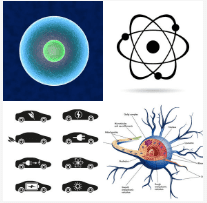 4 Images 1 Mot Niveau 3972